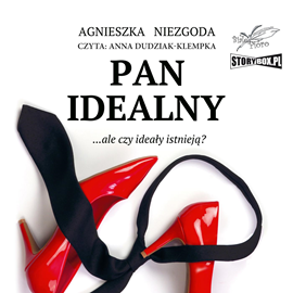 Audiobook Pan Idealny  - autor Agnieszka Niezgoda   - czyta Anna Dudziak-Klempka