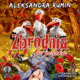 Audiobook Zbrodnia po polsku  - autor Aleksandra Rumin   - czyta Wojciech Masiak
