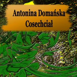 Audiobook Cosechciał  - autor Antonina Domańska   - czyta Jolanta Nord