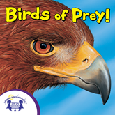 Audiobook Know-It-Alls! Birds of Prey  - autor Bendix Anderson   - czyta Walt Wise