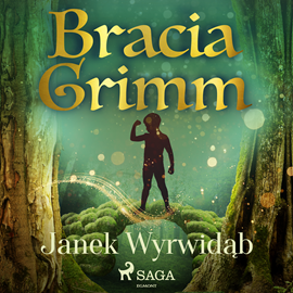Audiobook Janek Wyrwidąb  - autor Bracia Grimm   - czyta Masza Bogucka