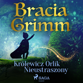 Audiobook Królewicz Orlik Nieustraszony  - autor Bracia Grimm   - czyta Masza Bogucka
