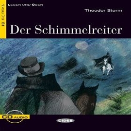 Audiobook Der Schimmelreiter  - autor Theodor Storm  