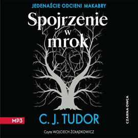 Audiobook Spojrzenie w mrok  - autor C.J. Tudor   - czyta Wojciech Żołądkowicz