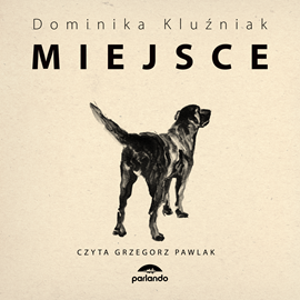 Audiobook Miejsce  - autor Dominika Kluźniak   - czyta Grzegorz Pawlak