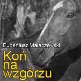 Audiobook Koń na wzgórzu  - autor Eugeniusz Małaczewski   - czyta Zdzisław Wardejn