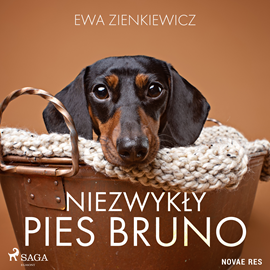 Audiobook Niezwykły pies Bruno  - autor Ewa Zienkiewicz   - czyta Ewa Konstanciak