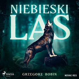 Audiobook Niebieski las  - autor Grzegorz Bobin   - czyta Maciej Motylski