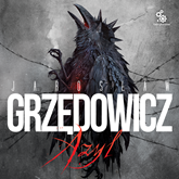 Audiobook Azyl  - autor Jarosław Grzędowicz   - czyta Andrzej Ferenc