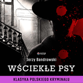 Audiobook Wściekłe psy  - autor Jerzy Bandrowski   - czyta Krzysztof Plewako-Szczerbiński