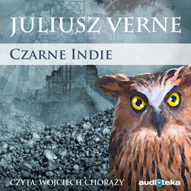 Audiobook Czarne Indie  - autor Juliusz Verne   - czyta Wojciech Chorąży