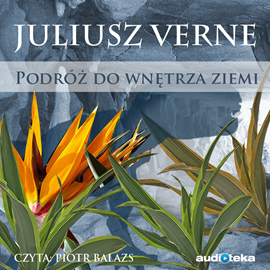 Audiobook Podróż do wnętrza Ziemi  - autor Juliusz Verne   - czyta Kuba Wątły