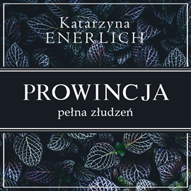 Audiobook Prowincja pełna złudzeń  - autor Katarzyna Enerlich   - czyta Julia Trembecka