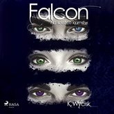 Audiobook Falcon I Na ścieżce kłamstw  - autor Katarzyna Wycisk   - czyta Kaja Walden