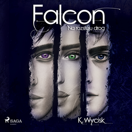 Audiobook Falcon II Na rozstaju dróg  - autor Katarzyna Wycisk   - czyta Kaja Walden