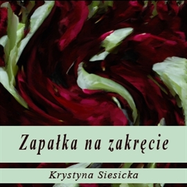 Audiobook Zapałka na zakręcie  - autor Krystyna Siesicka   - czyta Anna Romantowska