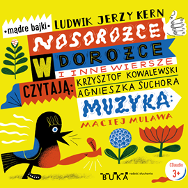 Audiobook Nosorożce w dorożce i inne wiersze  - autor Ludwik Jerzy Kern   - czyta zespół aktorów