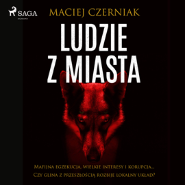 Audiobook Ludzie z miasta  - autor Maciej Czerniak   - czyta Paweł Werpachowski