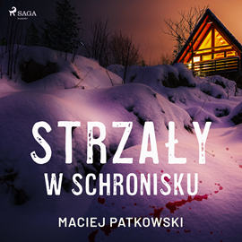Audiobook Strzały w schronisku  - autor Maciej Patkowski   - czyta Krzysztof Baranowski