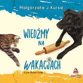 Audiobook Wiedźmy na wakacjach  - autor Małgorzata J. Kursa   - czyta Donata Cieślik