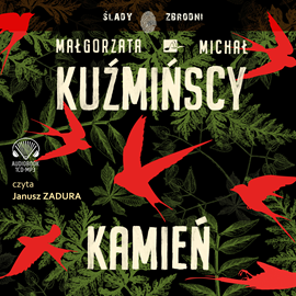 Audiobook Kamień  - autor Małgorzata Kuźmińska;Michał Kuźmiński   - czyta Janusz Zadura