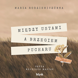 Audiobook Między ustami a brzegiem pucharu  - autor Maria Rodziewiczówna   - czyta Wojciech Masiak