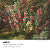 Audiobook Wrzos  - autor Maria Rodziewiczówna   - czyta Ewelina Stepanczenko