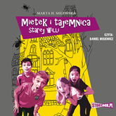 Audiobook Mietek i tajemnica starej willi  - autor Marta H. Milewska   - czyta Daniel Misiewicz