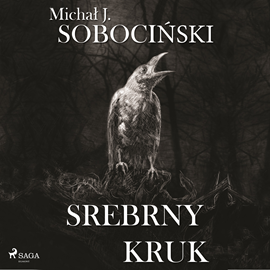 Audiobook Srebrny kruk  - autor Michał J. Sobociński   - czyta Jakub Kamieński