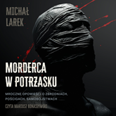 Audiobook Morderca w potrzasku  - autor Michał Larek   - czyta Mariusz Bonaszewski