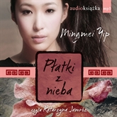 Audiobook Płatki z nieba  - autor Mingmei Yip   - czyta Katarzyna Jamróz