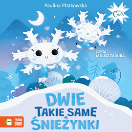 Audiobook Dwie takie same śnieżynki  - autor Paulina Płatkowska   - czyta Janusz Zadura