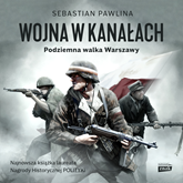 Audiobook Wojna w kanałach  - autor Pawlina Sebastian   - czyta Bartosz Głogowski
