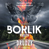 Audiobook Drudzy  - autor Piotr Borlik   - czyta Marcin Popczyński