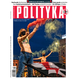 Audiobook AudioPolityka Nr 45 z 4 listopada 2020 roku  - autor Polityka   - czyta Danuta Stachyra