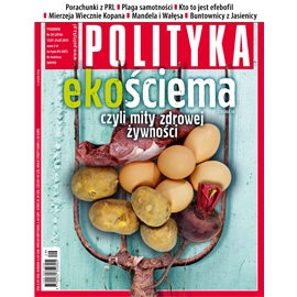 Audiobook AudioPolityka Nr 29 z 17 lipca 2013  - autor Polityka   - czyta zespół aktorów