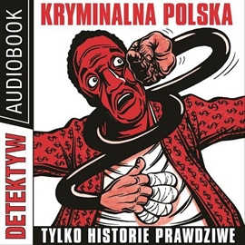 Audiobook Detektyw nr 1/2016  - autor Polska Agencja Prasowa S. A.   - czyta Maciej Kowalik