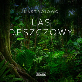 Audiobook Nastrojowo - Las Deszczowy  - autor Rasmus Broe   - czyta Rasmus Broe