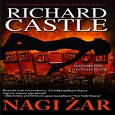 Audiobook Nagi Żar (tom 2)  - autor Richard Castle   - czyta Patryk Pawlak