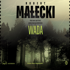 Audiobook Wada  - autor Robert Małecki   - czyta Piotr Grabowski