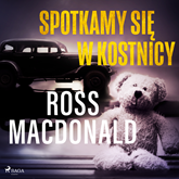 Audiobook Spotkamy się w kostnicy  - autor Ross Macdonald   - czyta Tomasz Ignaczak