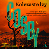 Audiobook Kolczaste łzy  - autor S. A. Cosby   - czyta Jakub Wieczorek