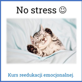 No stress - reedukacja emocjonalna