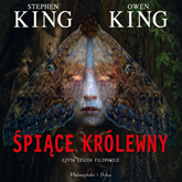 Audiobook Śpiące królewny  - autor Owen King;Stephen King   - czyta Leszek Filipowicz