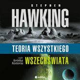 Audiobook Teoria wszystkiego, czyli krótka historia wszechświata  - autor Stephen Hawking   - czyta Marcin Fugiel
