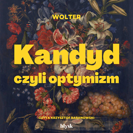 Audiobook Kandyd, czyli optymizm  - autor Wolter   - czyta Krzysztof Baranowski
