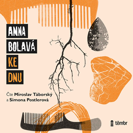 Audiokniha Ke dnu  - autor Anna Bolavá   - interpret skupina hercov