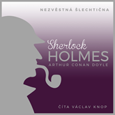 Sherlock Holmes – Nezvěstná šlechtična