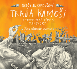 Audiokniha Traja kamoši a fantastický zázrak  - autor Barbora Kardošová   - interpret Richard Stanke