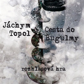 Audiokniha Cesta do Bugulmy  - autor Jáchym Topol   - interpret skupina hercov